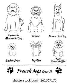 Set of French dogs - part 1. Vector Illustration of six different breeds of dogs: Pyrenean Mountain Dog, Briard, Beauce Sheep Dog, Bichon Frise, Papillon, Petit Basset Griffon