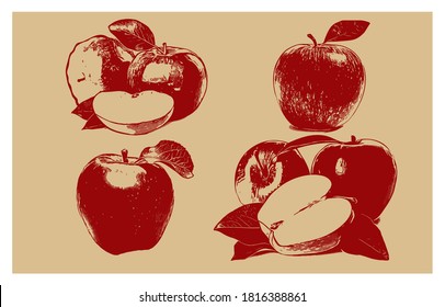 Set Of Fresh Apple Fruit, Vintage Design Concept, Silhouette Design Concept, Vector illustration.