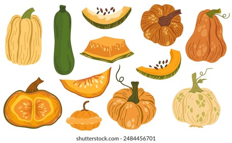 Conjunto de verduras frescas de otoño. Calabaza naranja, calabaza, calabazas verdes y amarillas y calabacín. Variedad de la cosecha de otoño. Ilustración vectorial plana de verduras maduras aisladas sobre fondo blanco