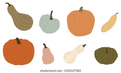 Set of fresh autumn vegetables. Orange pumpkin, gourd, green and yellow squashes, and zucchini. Variety of fall harvest. Flat vector illustration of ripe veggies isolated on white background