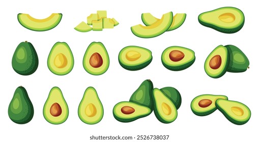 Set of fresh avocados in cartoon style. Vector illustration of delicious avocados with pits, halves, wholes, slices isolated on white background. Useful and nutritious fruits.Healthy snack. Breakfast.