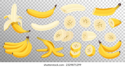 Set of fresh banana fruits isolated on transparent background. Peeled and whole bananas, banana slices and bunch of bananas. Tropical fruits, healthy nutrition menu. Vector flat cartoon illustration