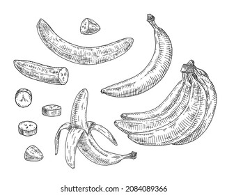 Set with fresh banana. Whole, half, pieces peeled and unpeeled fruits. Vintage vector engraving black monochrome illustration. Isolated on white background. Hand drawn design ink