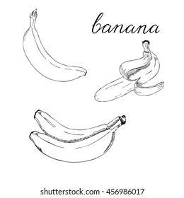 Set of fresh bananas drawn by ink. Hand lettering.Hand drawn vector illustration.
