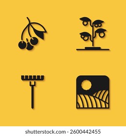 Set Fresh berries, Agriculture wheat field farm, Garden rake and Sprout icon with long shadow. Vector