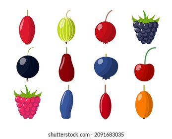 Set of fresh berries on white background. Variety vector berries in flat style.