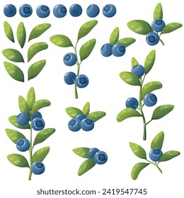 Set of fresh blueberries. Vector illustration of berries on branches with leaves and isolated on white background.