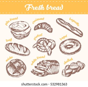 Set of fresh bread, hand drawn vector illustration, vintage style
