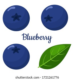 Set of fresh bright exotic blueberries isolated on white background. Summer fruits for healthy lifestyle. Organic fruit. Cartoon style. Vector illustration for any design.