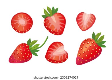 Conjunto de fresas frescas, enteras, la mitad de fresa y cortadas en rodajas. Ilustración vectorial de la baya roja
