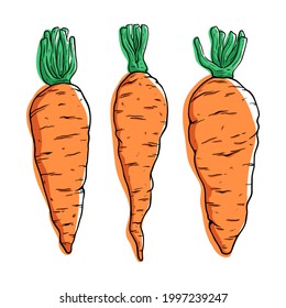 set of fresh carrot with colored hand draw style