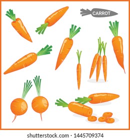 Set of fresh carrot vegetable with carrot tops in various cuts and styles in vector illustration format 