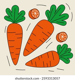 Set of fresh carrots vegetable illustrations in whole Daucus carota and sliced rounds. Perfect for a vibrant and healthy food designs. 