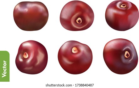 Set of fresh cherries on isolated background. 3d realistic vector illustration of berries.