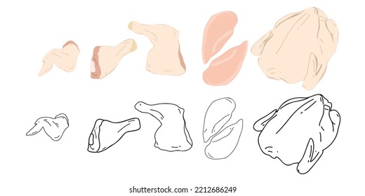 Set of fresh chicken carcass, thigh, leg, wing and fillet on a white background. Flat and doodle vector illustration