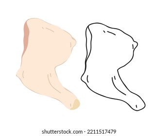 
Set fresh chicken thigh flat and doodle, hand drawn, linear isolated on white background. Vector illustration