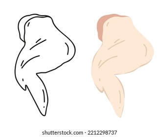 Set fresh chicken wing flat and doodle, hand drawn, linear isolated on white background. Vector illustration