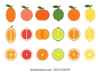 Eine Reihe von frischen Zitrusfrüchten, Kreuz- und Längsschnitt von Zitrone, Orange, Kumquat, Grapefruit, Kalksüße, grüne Zitrone, Mandarine, einfache flache Vektorgrafik.