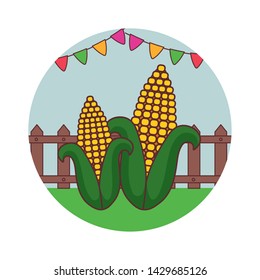 set of fresh cobs with garlands in frame circular