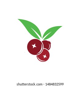 Set of fresh cranberry logo template vector icon illustration concept