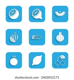 Indique el pepino fresco, limón, cereza, cebolla, tomate, sandía, fruta melón y el icono naranja. Vector