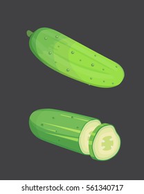 Set fresh cucumber, sliced and isolated vector illustration