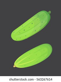 Set fresh cucumber, sliced and isolated vector illustration