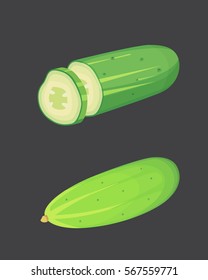 Set fresh cucumber, sliced and isolated vector illustration