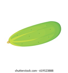 Set fresh cucumber, sliced and isolated vector illustration