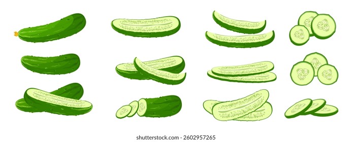 Set of fresh cucumbers. Cucumber cut into slices, circles. Vector illustration.