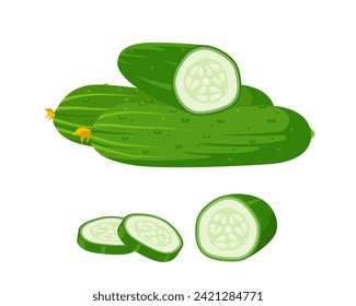 Conjunto de pepinos frescos y rodajas. Copeteros enteros y pepino cortado con rodajas. Vegetación ecológica, comida vegetariana. Ilustración vectorial aislada en fondo blanco.