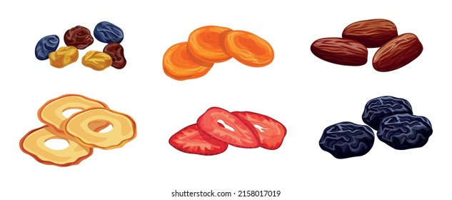 Set of fresh different dried fruits in cartoon style. Vector illustration of dried peach, raisin, date, strawberries, pineapple and prunes on white background.