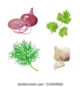 Set with fresh dill, parsley, garlic, red onion. Popular cooking herbs and spices. Vector illustration.