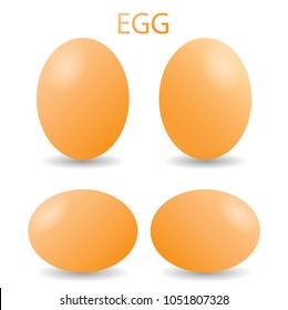 set of fresh egg on white background.