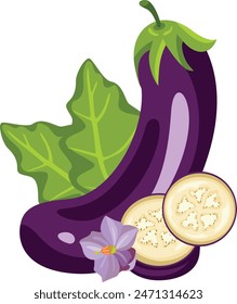 Set of fresh eggplant whole and cut