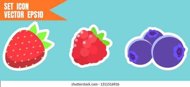 Set Fresh fruit icon or sticker on modern flat style blueberry, strawberry, raspberry. Copy past template for design marketing or logo , banner. Vector illustration eps10