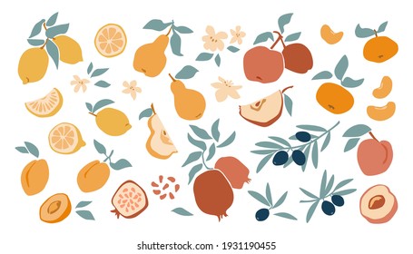 Set von frischer FruchtZitrone, Pfirsich, Apfel, Mandarin, Aprikose, Granatapfel, handgezeichnet mit Oliven einzeln auf weißem Hintergrund. Vektorflache Illustration. Design für Textilien, Etiketten, Plakate, Karten