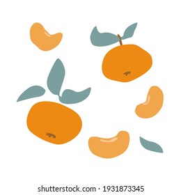 Set of fresh fruit orange mandarin, clementine, tangerine with green leaf in hand drawing style isolated on white background. Vector flat illustration. Design for textiles, labels, posters, card