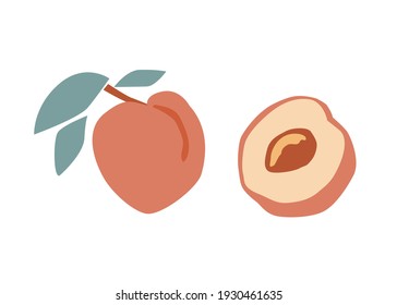 Set of fresh fruit pink peach with green leaf, flower, slice in hand drawing style isolated on white background. Vector flat illustration. Design for textiles, labels, posters, card