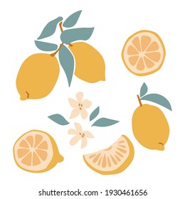 Set of fresh fruit yellow lemon with green leaf, flower, slice in hand drawing style isolated on white background. Vector flat illustration. Design for textiles, labels, posters, card