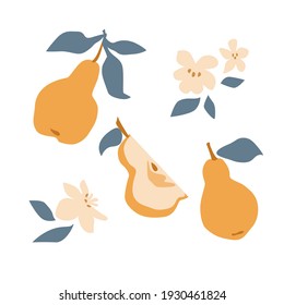 Satz frischer, gelber Birne mit grünem Blatt, Blume in handgezeichnet, einzeln auf weißem Hintergrund. Vektorflache Illustration. Design für Textilien, Etiketten, Plakate, Karten