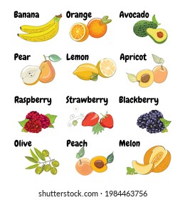 Set of fresh fruits and berries in sketch style. Vector illustration banana, orange, avocado, pear, lemon, apricot, raspberry, strawberry, blackberry, olive, peach, melon