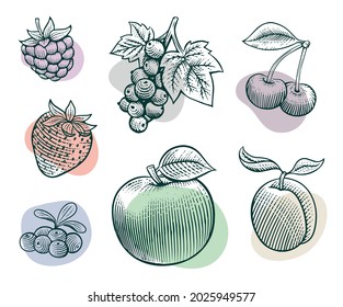 A set of fresh fruits drawn by hand with a liner. Raspberry, black currant, cherries, apricot, strawberry, blueberry, apple.
