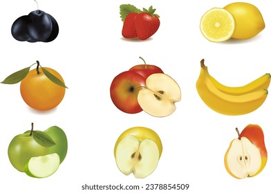 set Of fresh Fruits Isolated On White Background Illustration