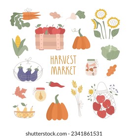 Set of fresh fruits, vegetables, baskets, farm products. Fall harvest market, cute vector illustrations, stickers.