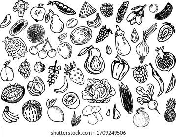 A set of fresh fruits and vegetables drawn by hand with a liner. Vegetarian food. Vector image, a set of graphic elements for the menu. Berries, citrus fruits, onions, peppers, corn, melon, eggplant.