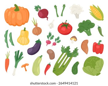 Set of fresh garden vegetables in flat cartoon style. Includes pumpkin, tomato, carrot, onion, beet and broccoli, radish, cabbage, eggplant, corn, pepper, leek, celery and garlic. Vector illustration.