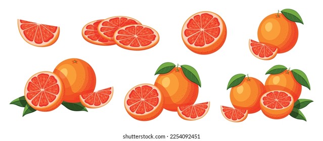 Set of fresh grapefruit in cartoon style. Vector illustration of delicious fruits whole and cut, large and small sizes with green leaves isolated on white background.