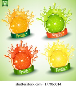 Set fresh grapefruit, lemon, orange, lime. Vector.