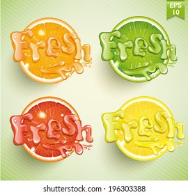 Set fresh grapefruit, lemon, orange, lime. Vector. 